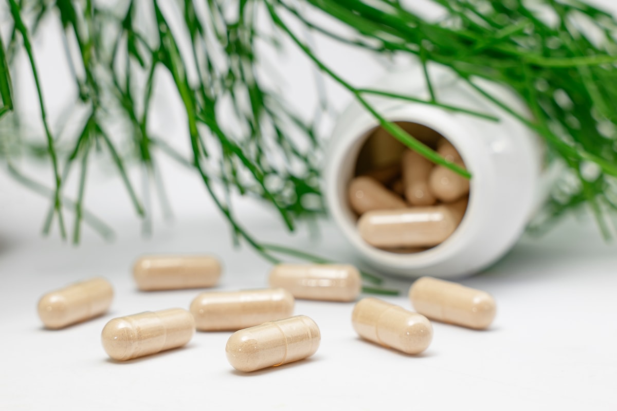 Proceso de absorción de nutrientes
